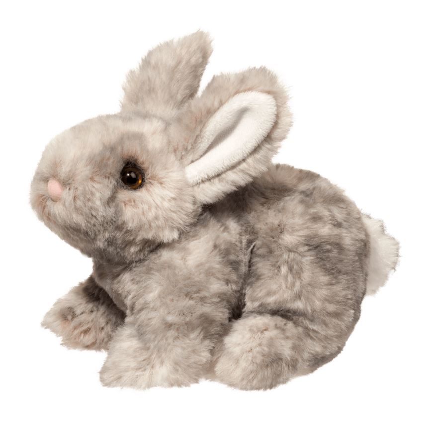 Tyler the Gray Bunny