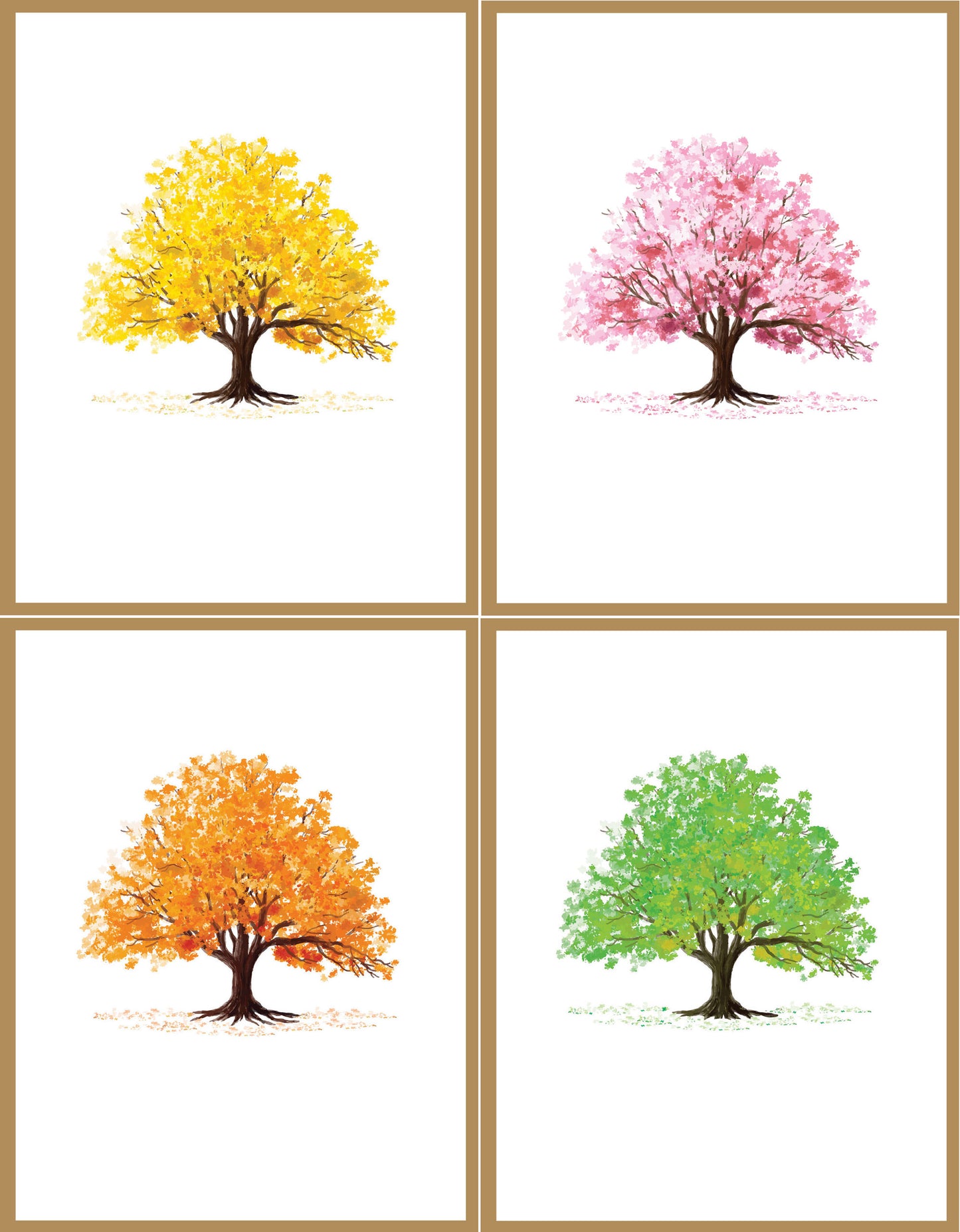 Premium Blank Boxed Card Set