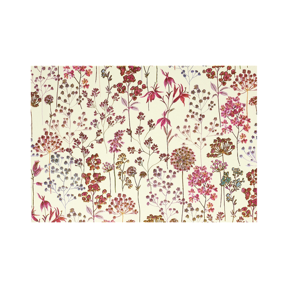 Boxed Blank Note Cards