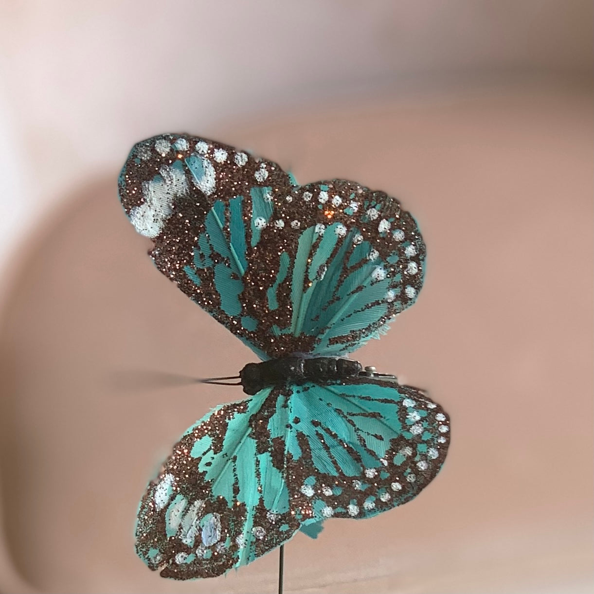 Butterfly Decor Clips