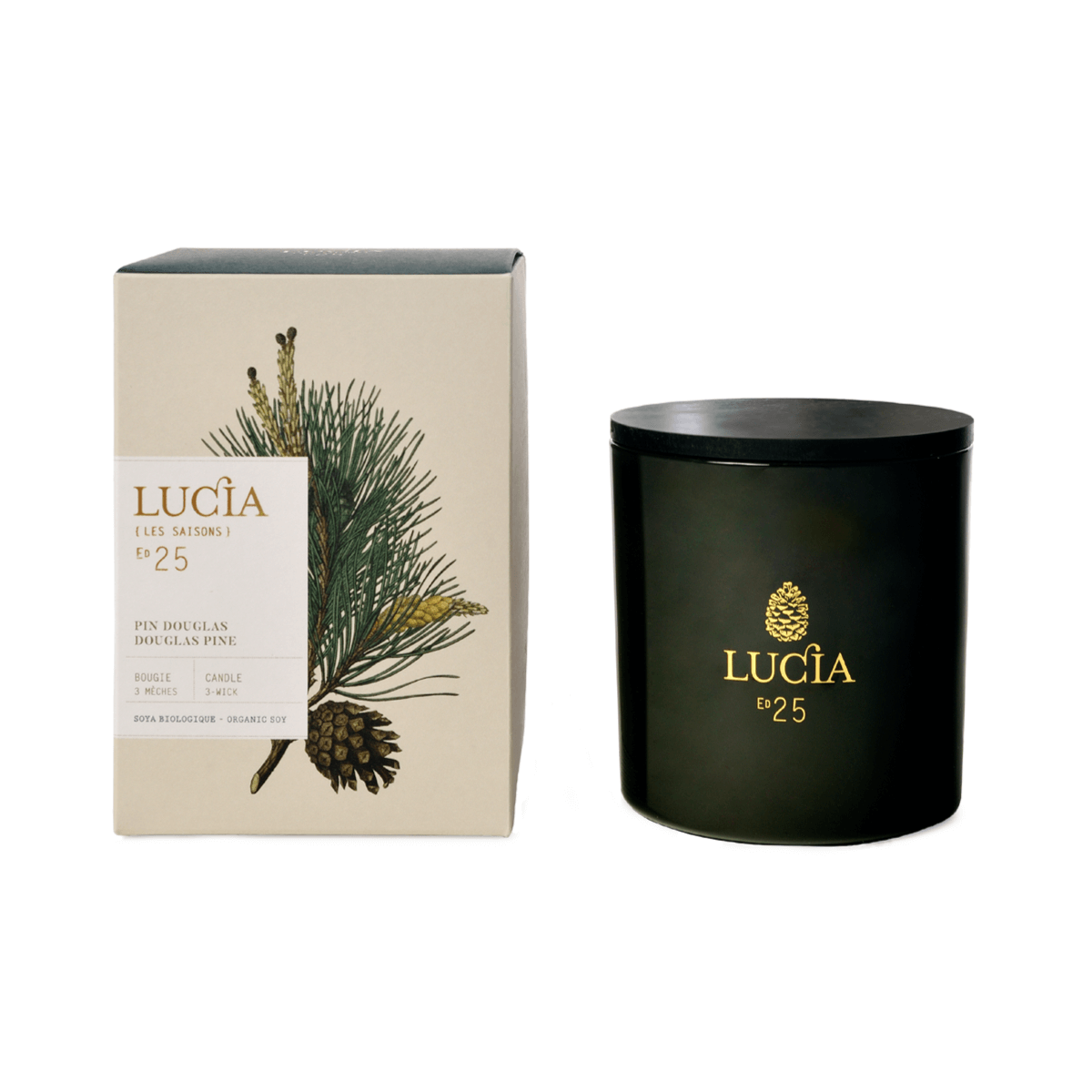 Lucia Douglas Pine 3-Wick Candle