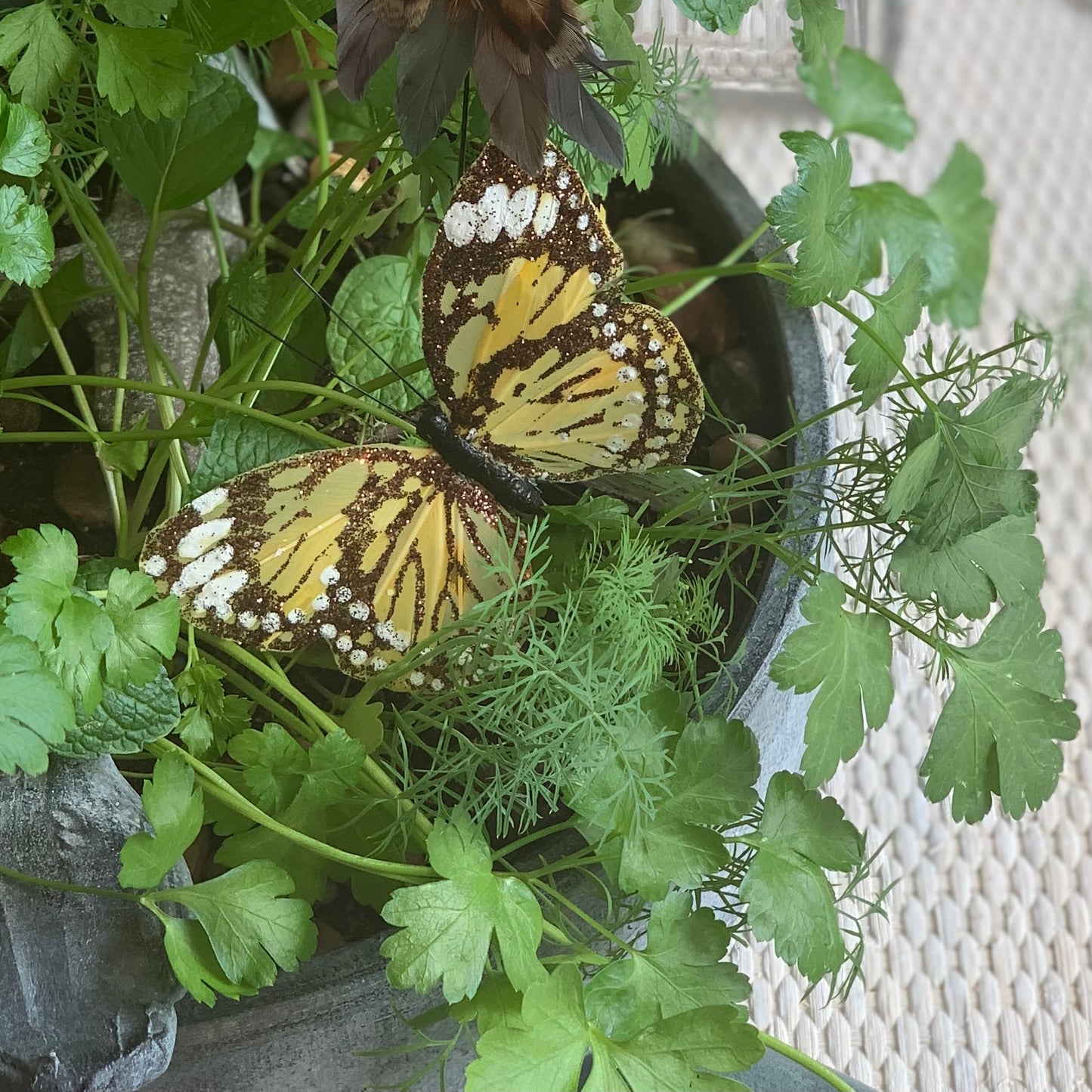 Butterfly Decor Clips