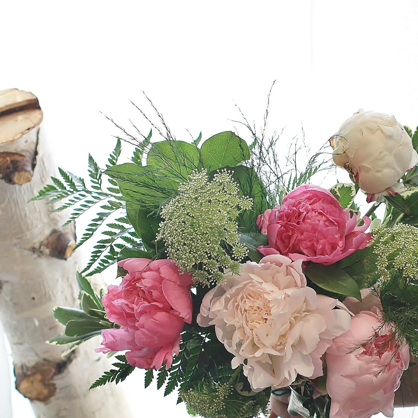 Peony Appreciation Workshop- June 11th