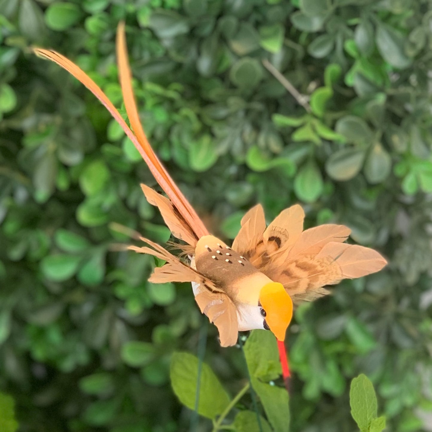 Butterfly Decor Clips
