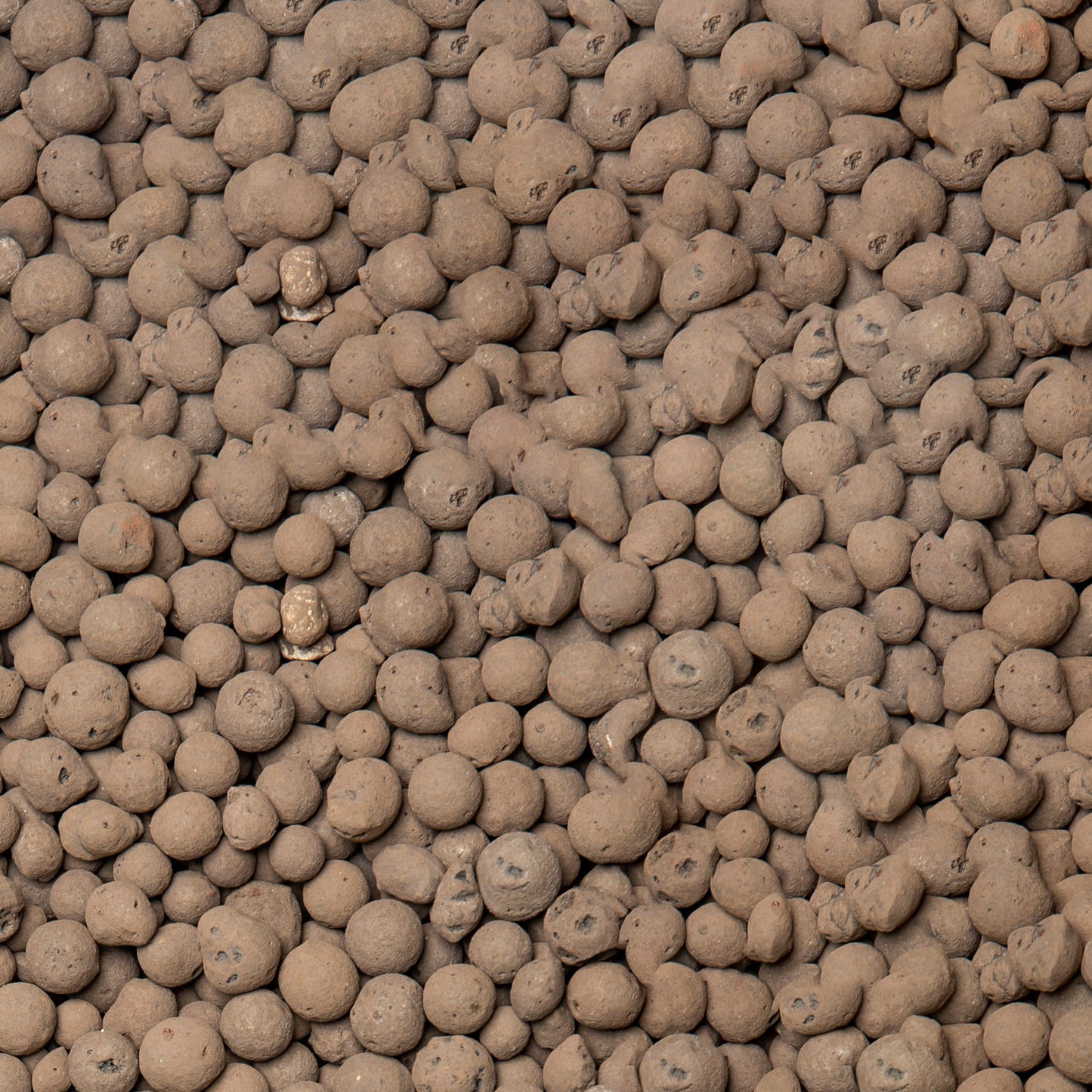 LECA Clay Pebbles