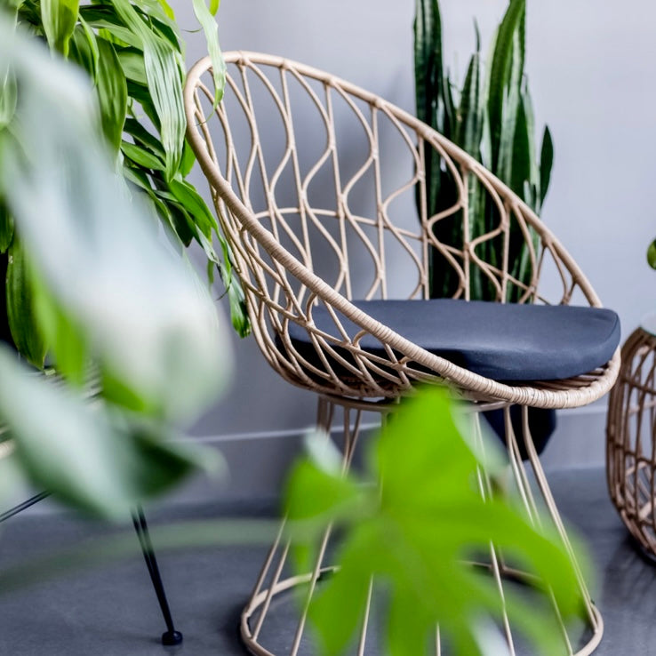 Calabria Fantasy Chair