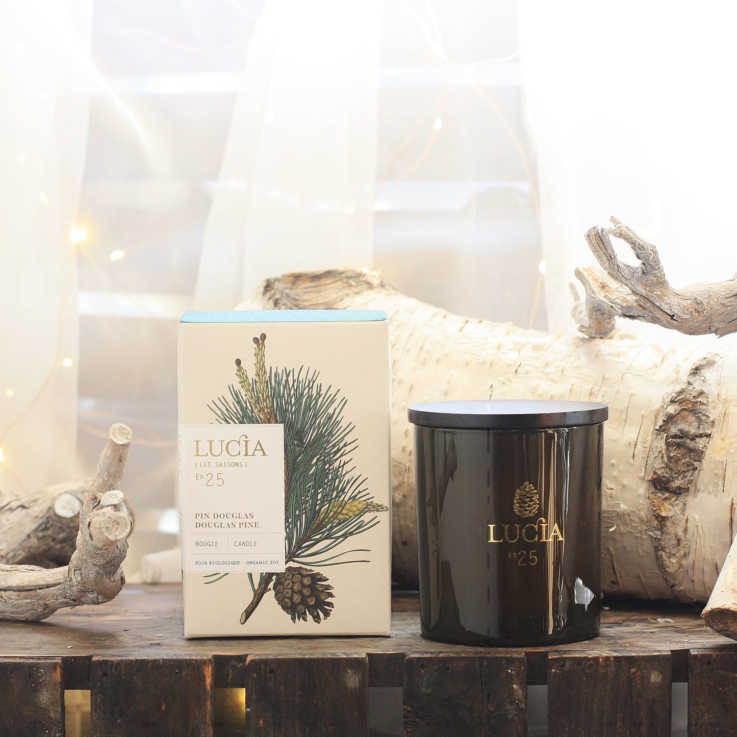 Lucia Douglas Pine Votive Candle
