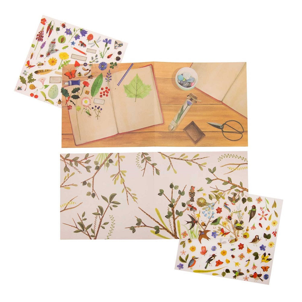 Moulin Roty Botanist Transfer Decals