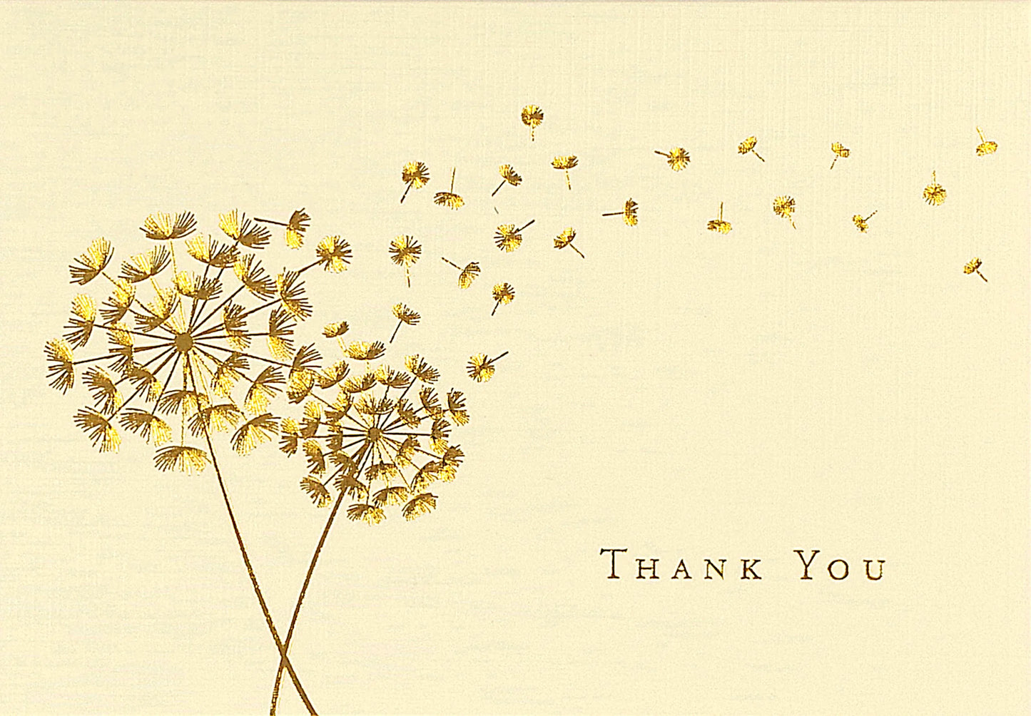Boxed Thank You Cards
