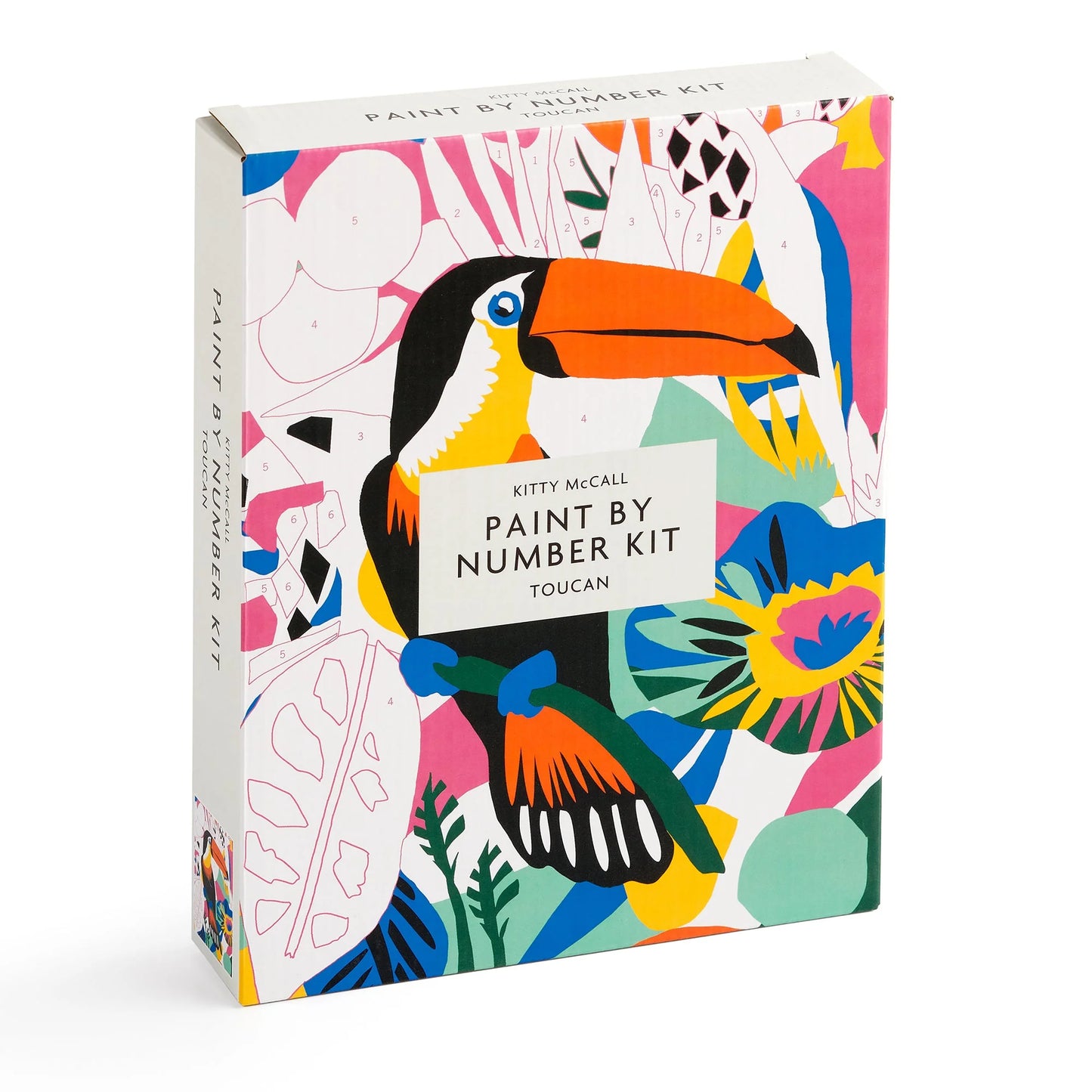 Paint by Numbers Kit - Toucan