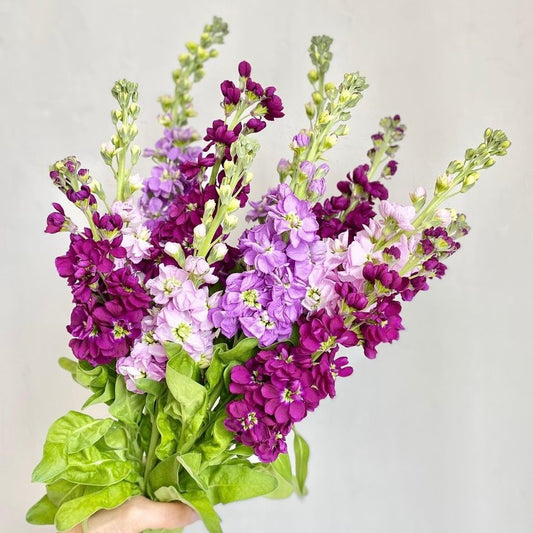 Three Things That Can Shorten the Life of Your Cut Flowers