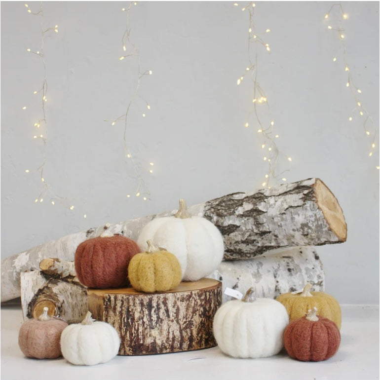 How to Bring the Beauty of Fall into Your Home. . .