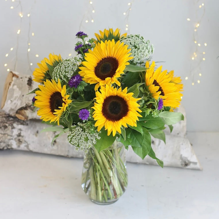 Spotlight On: Sunflowers