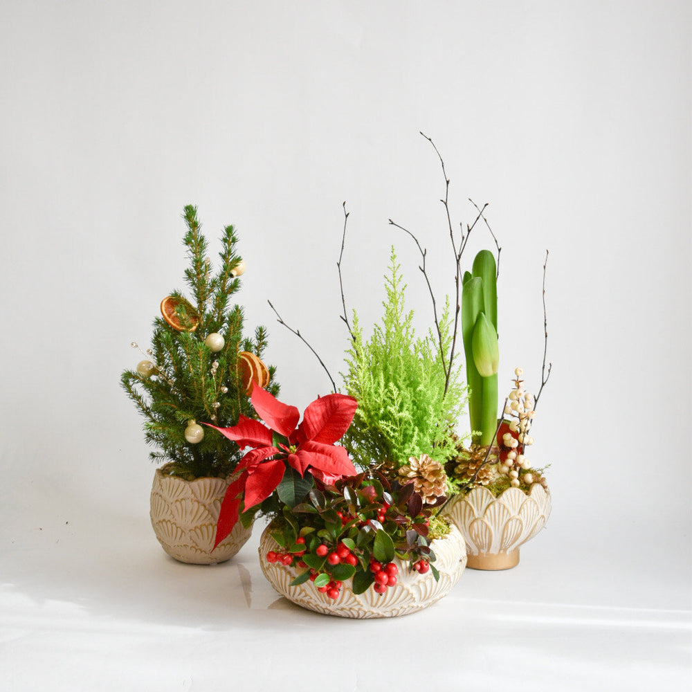 Etobicoke Florist Home Decor & Gifts Delivery in Etobicoke & GTA