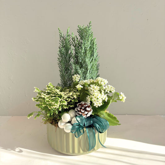 All is Green & White Festive Planter