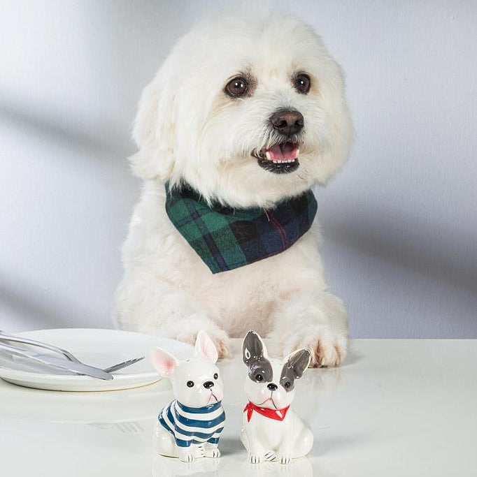 French Bulldog Salt & Pepper Set