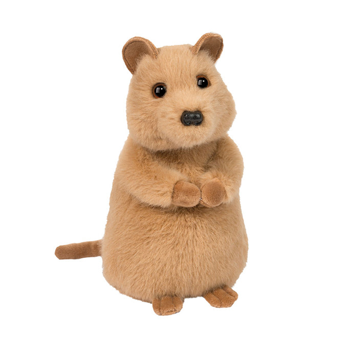 Quincie the Mini Quokka
