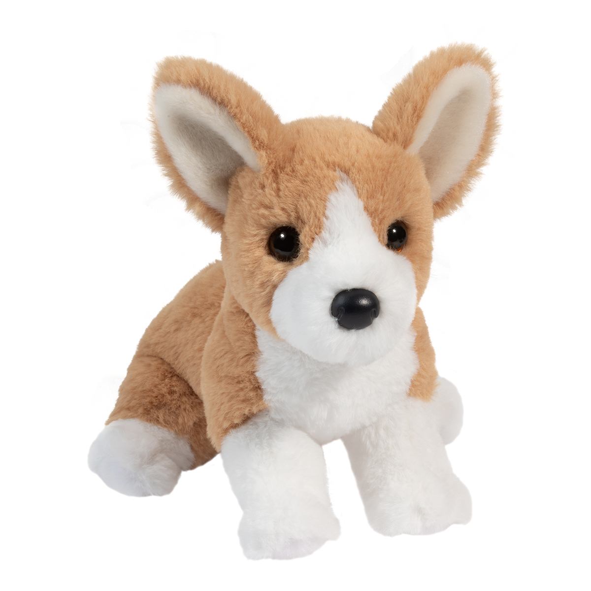 Cheekie the Corgi