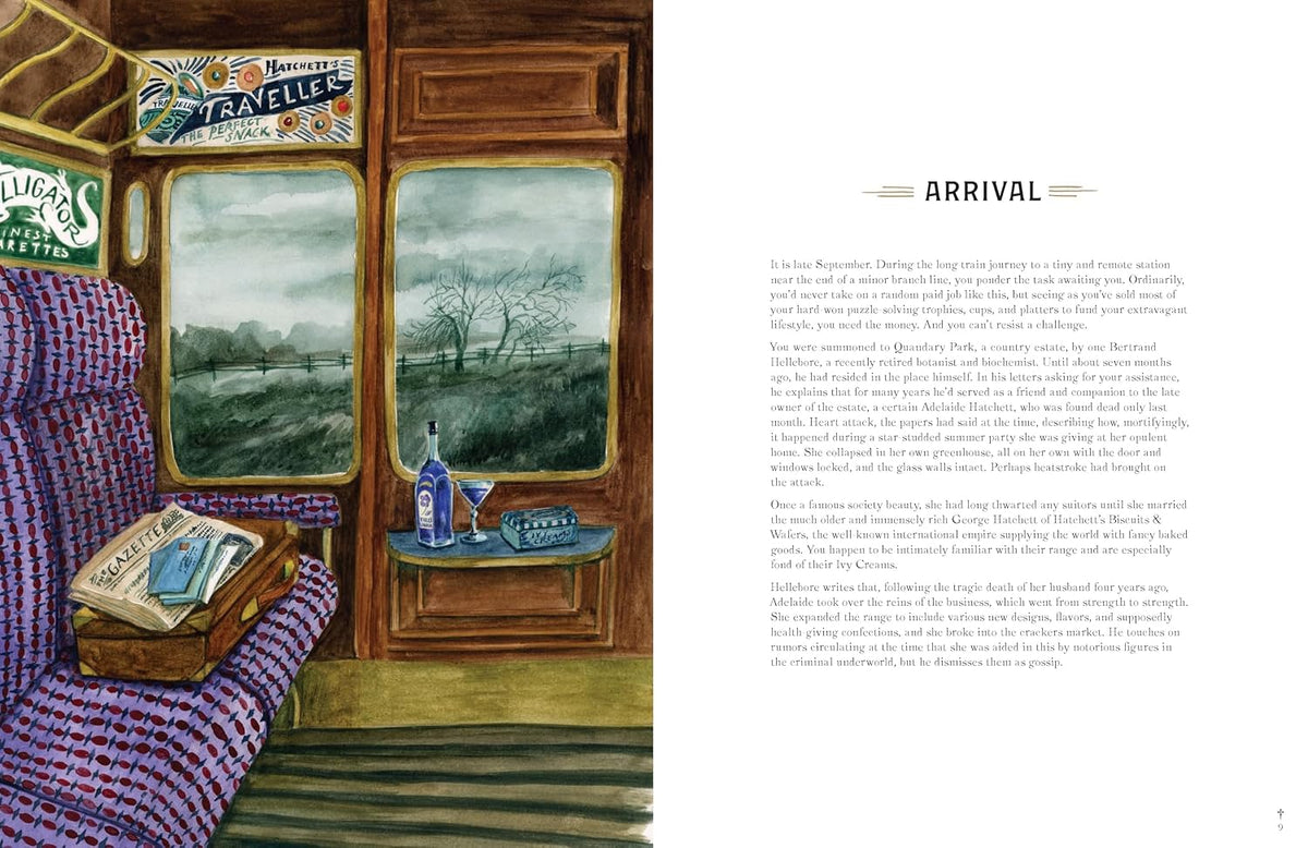 Murder Most Puzzling Book: The Perilous Puzzles of Quandary Park