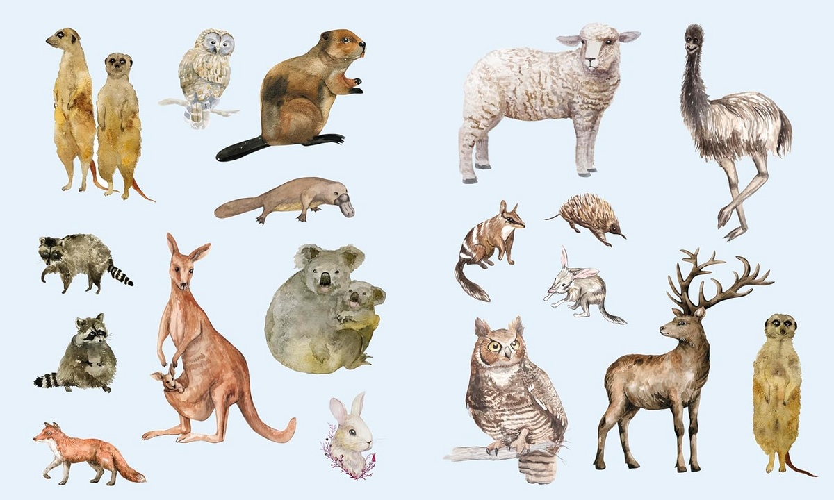 Sticker Studio: Menagerie