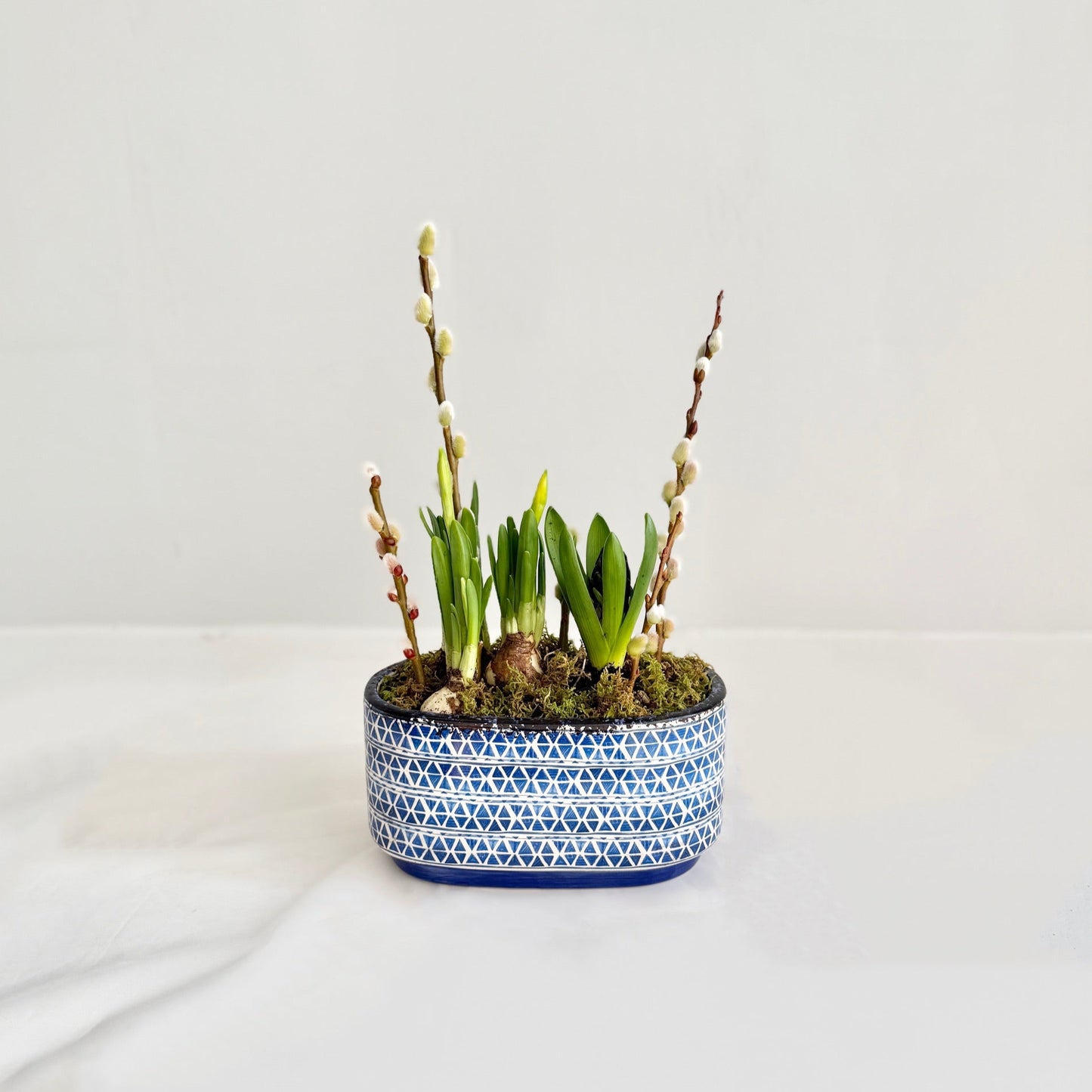 Blue Spring Bulb Planter