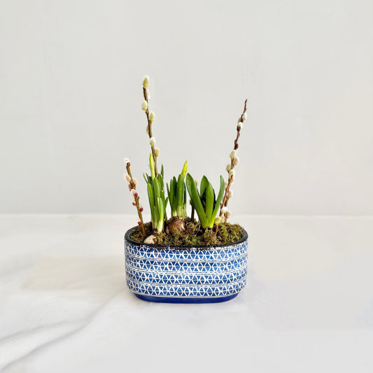 Blue Spring Bulb Planter