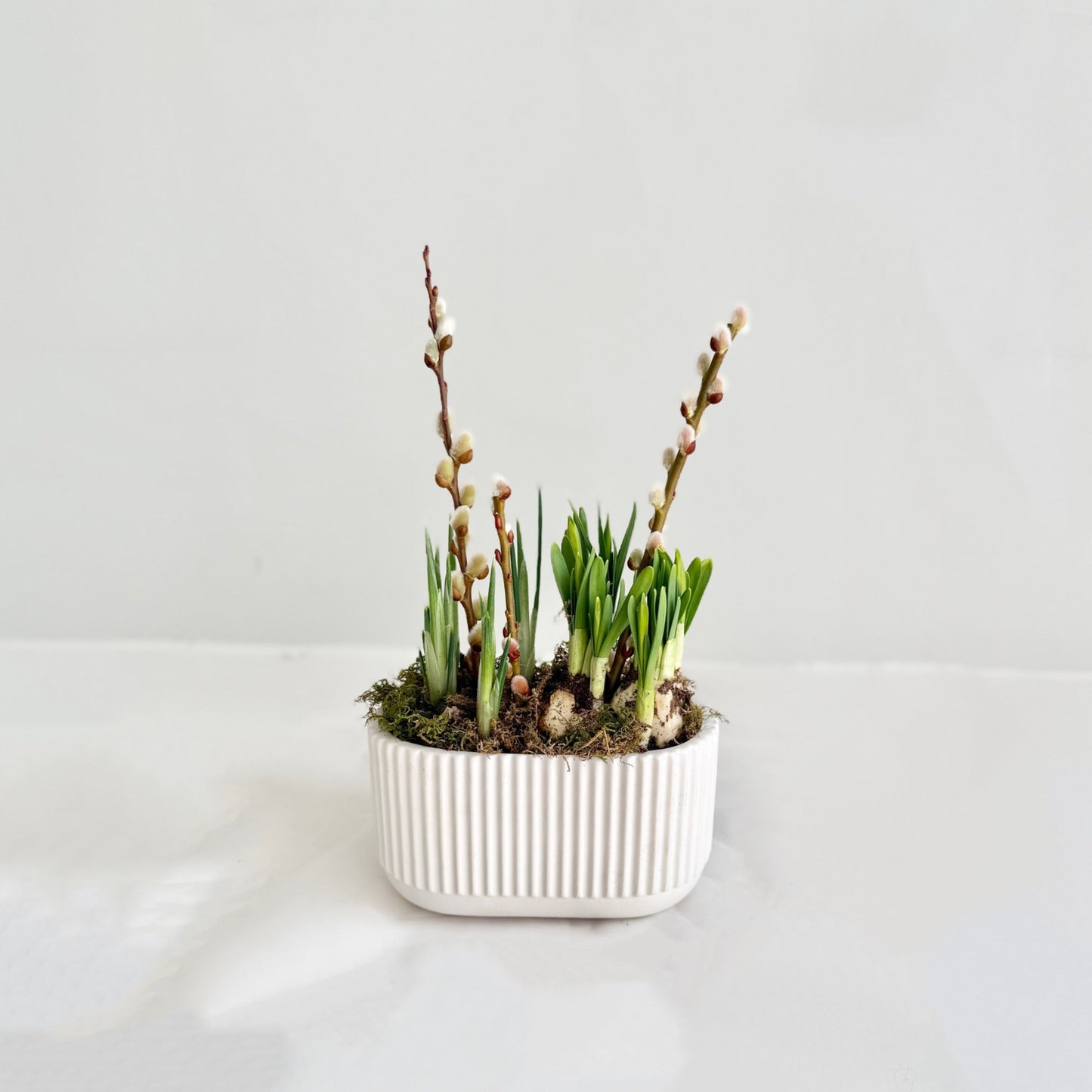 Small Spring Bulb Planter