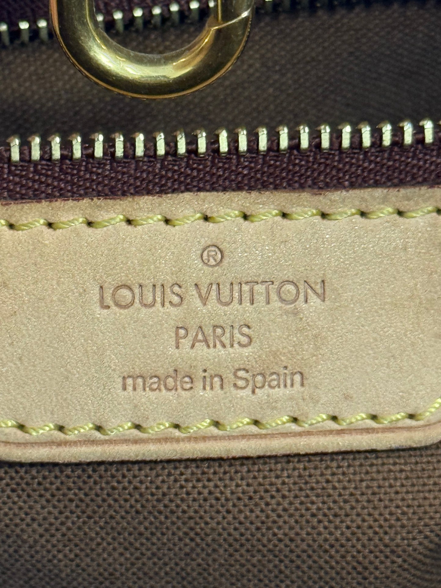 Pink Quill Plant in Rose Pink Pot