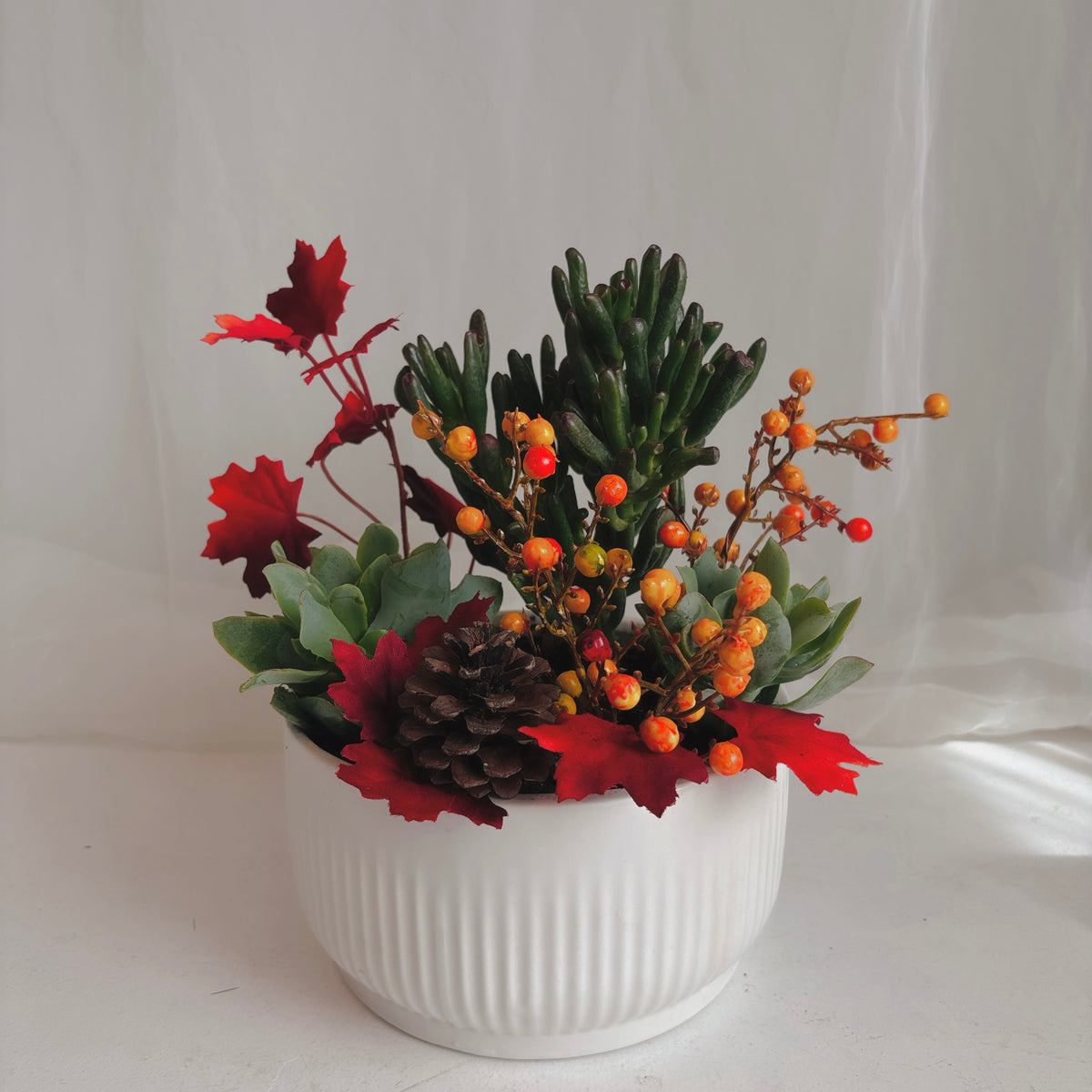 Autumn Mini Jade Planter