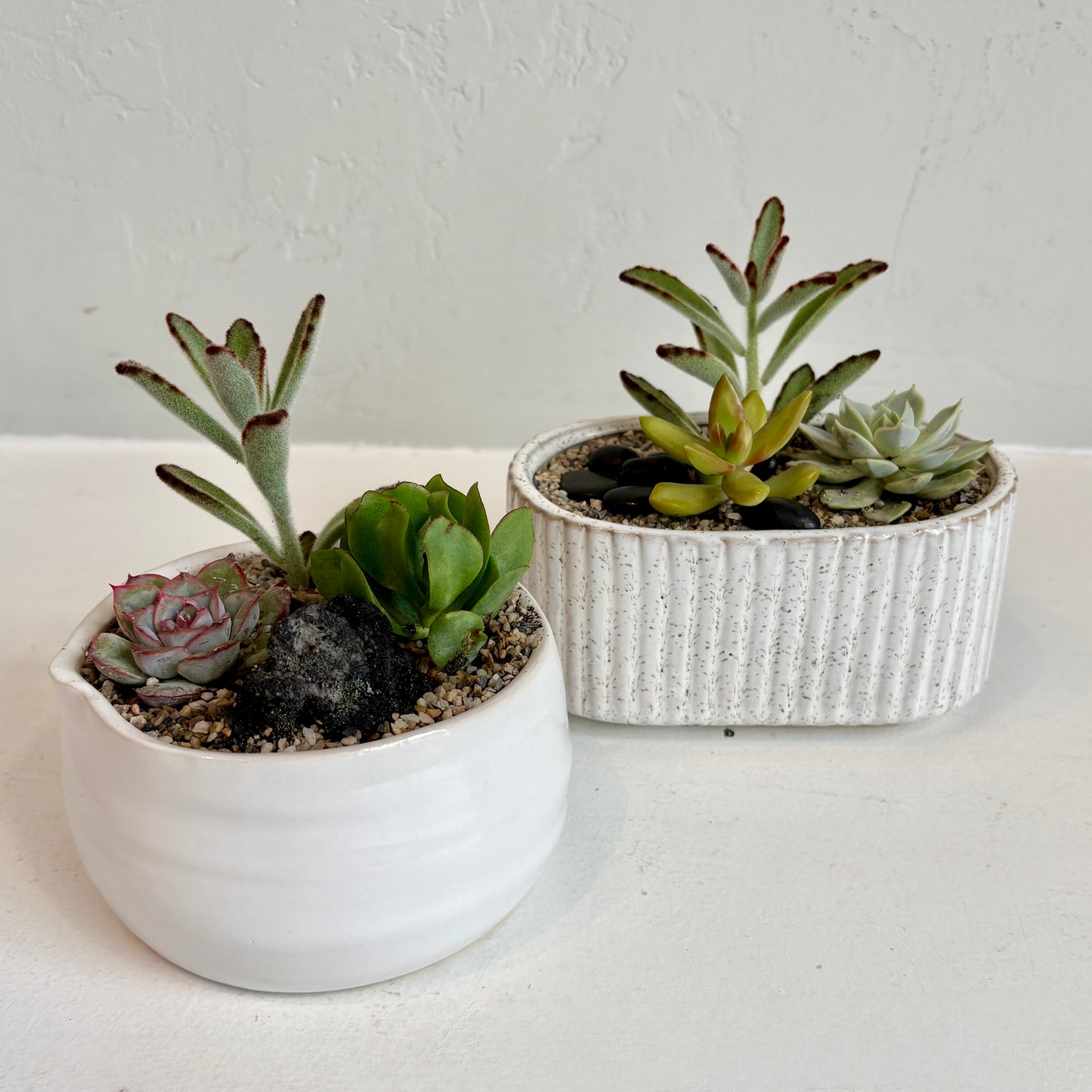 Mini Succulent Garden
