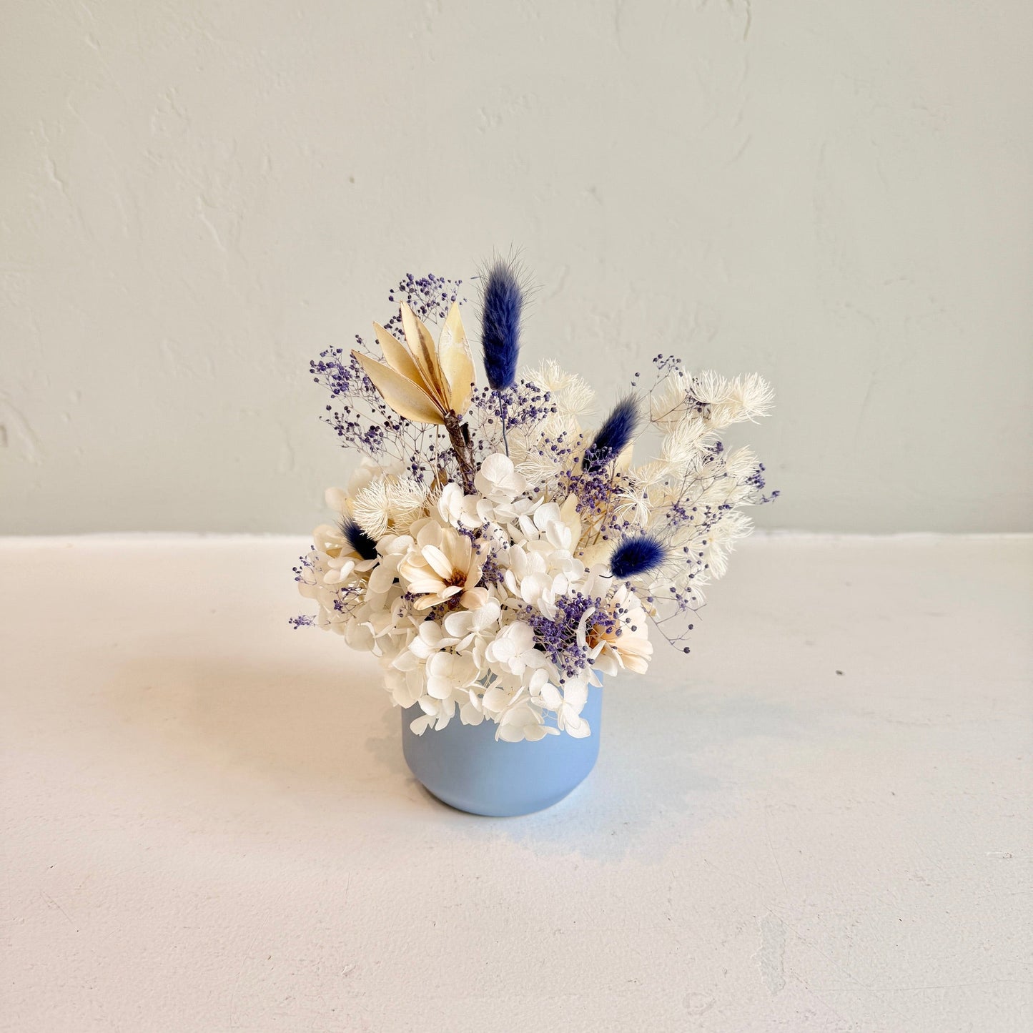 Mini Dried - Porcelain Dreams