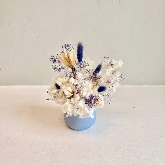 Mini Dried - Porcelain Dreams