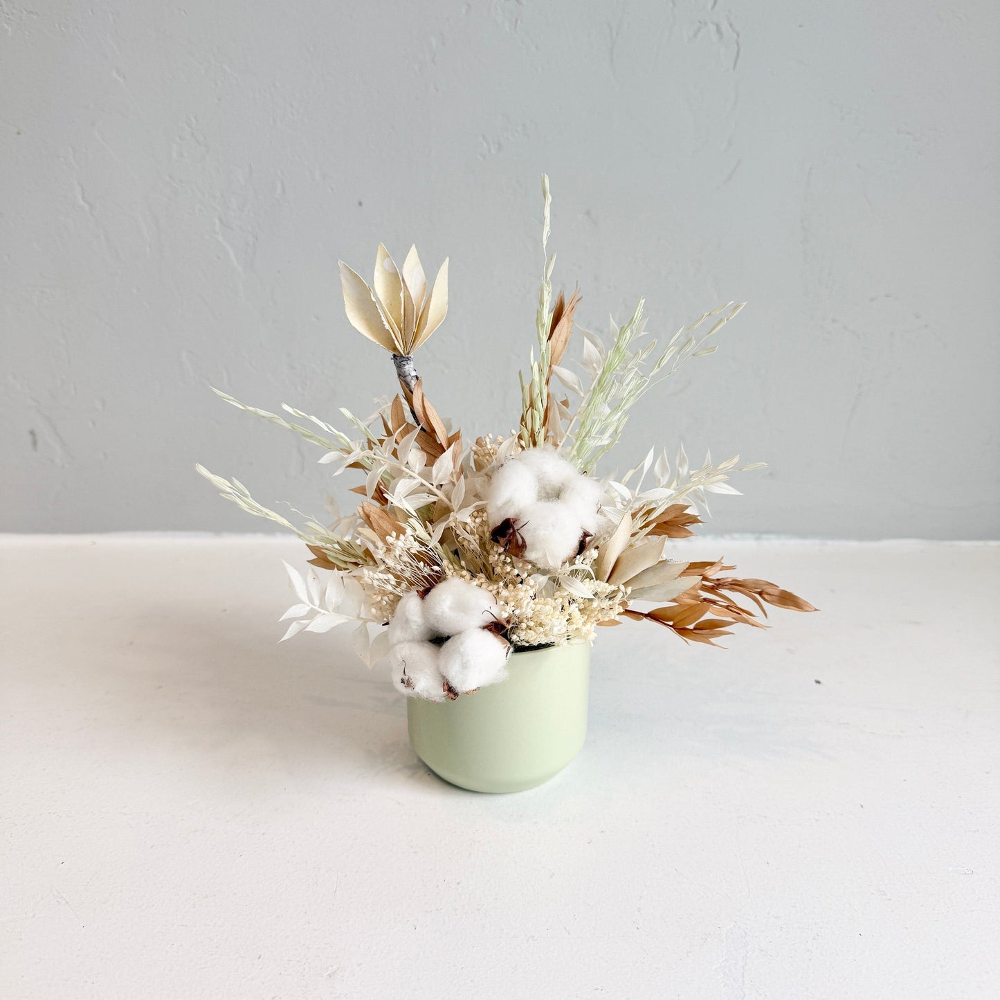 Mini Dried - Cottontail