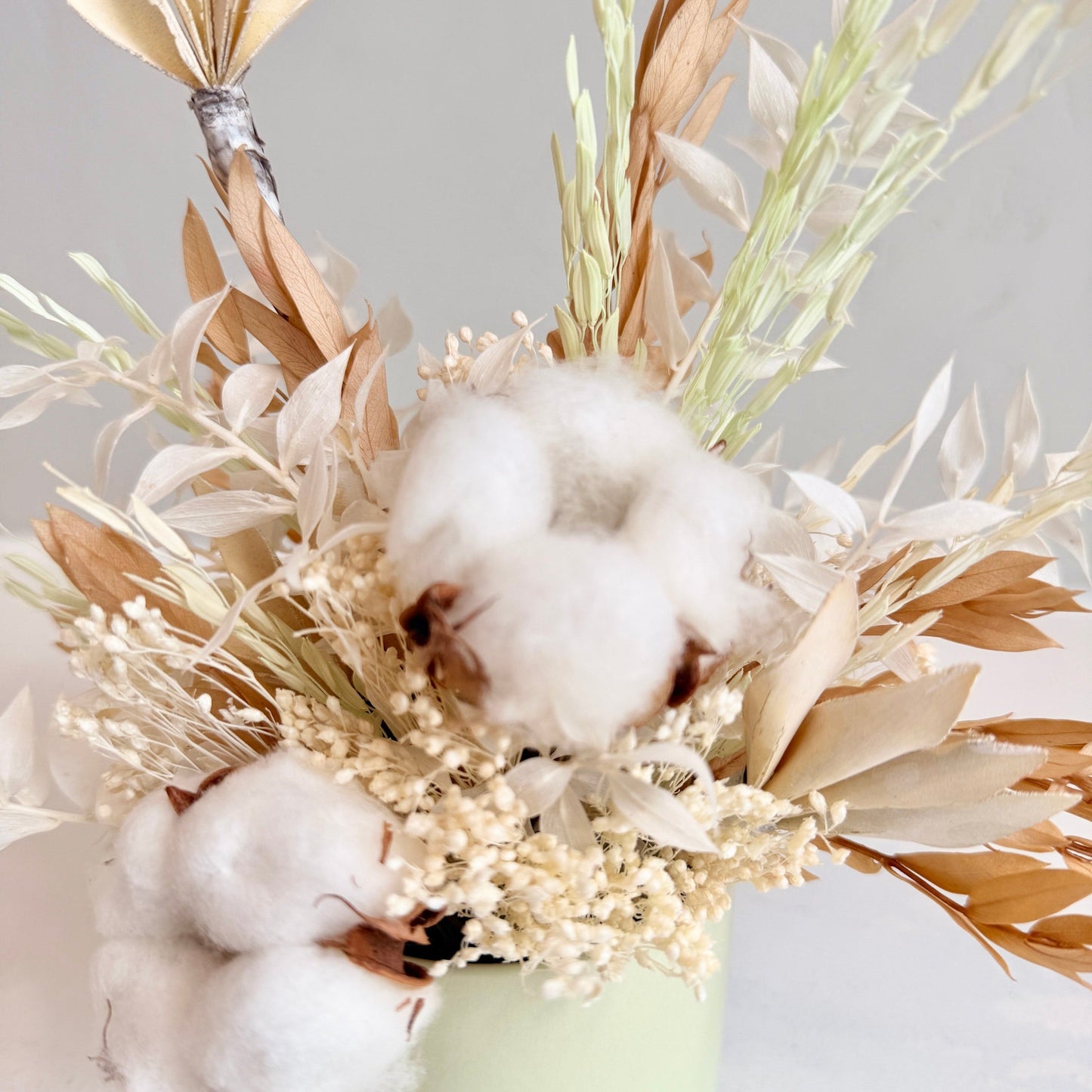 Mini Dried - Cottontail