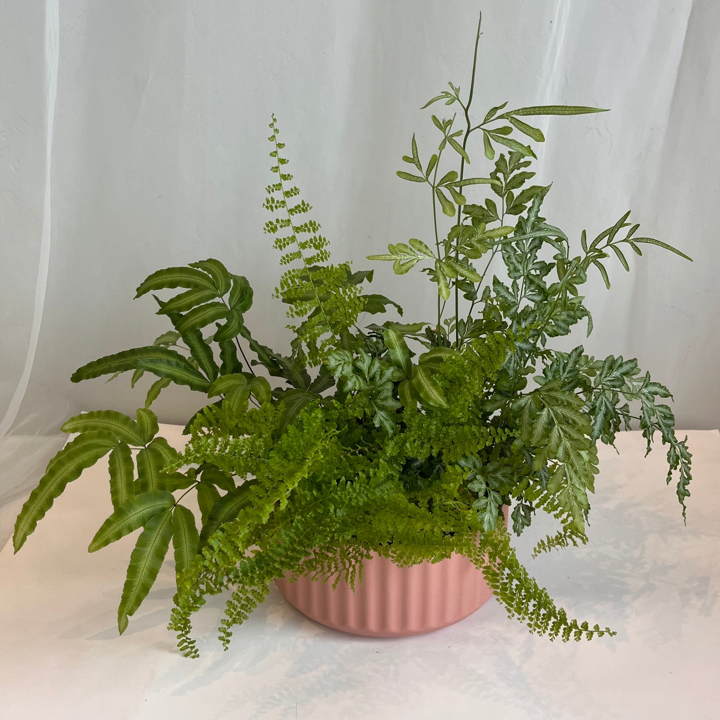 Mixed Fern Bowl Planters