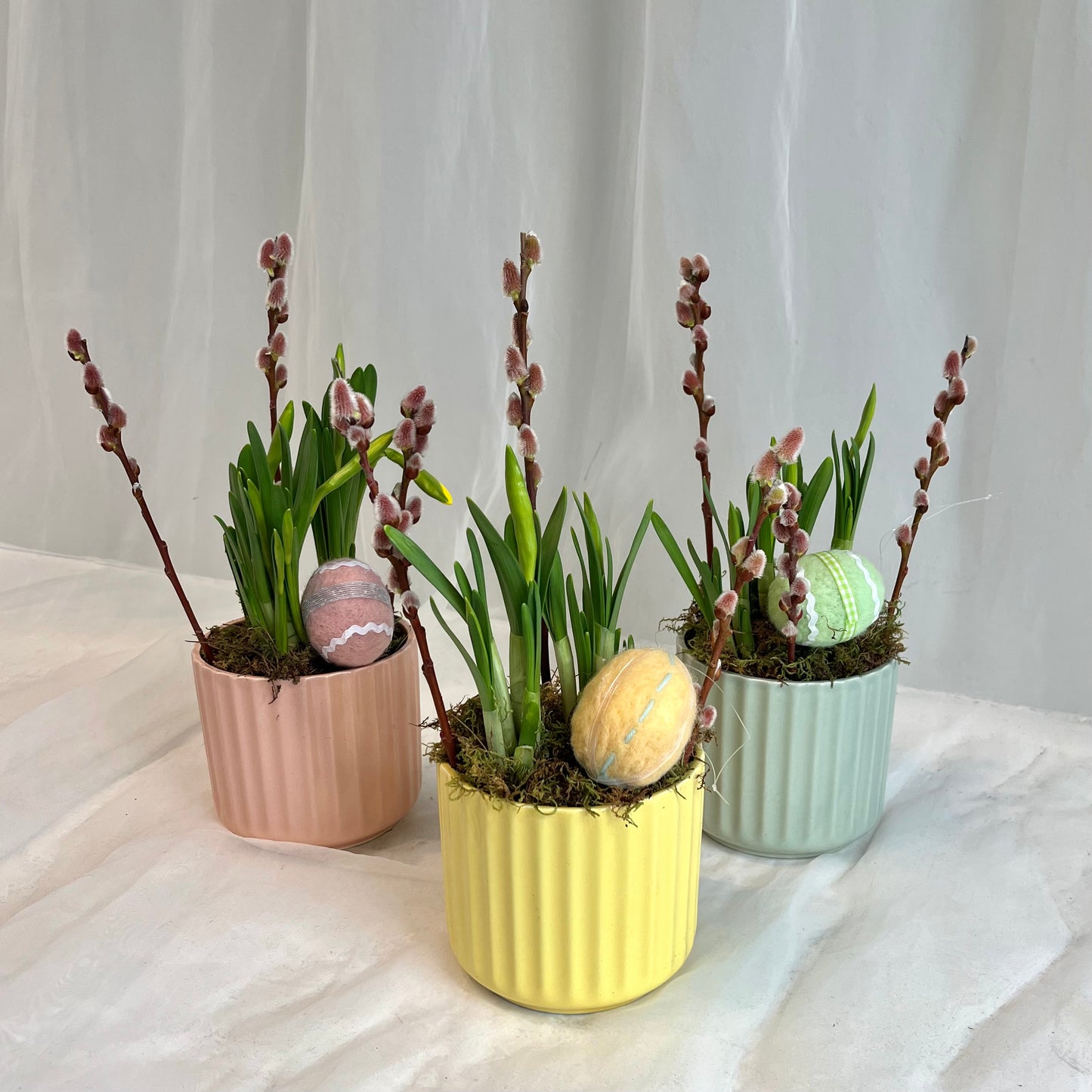 Easter Egg Hunt - Mini Daffodil Planter