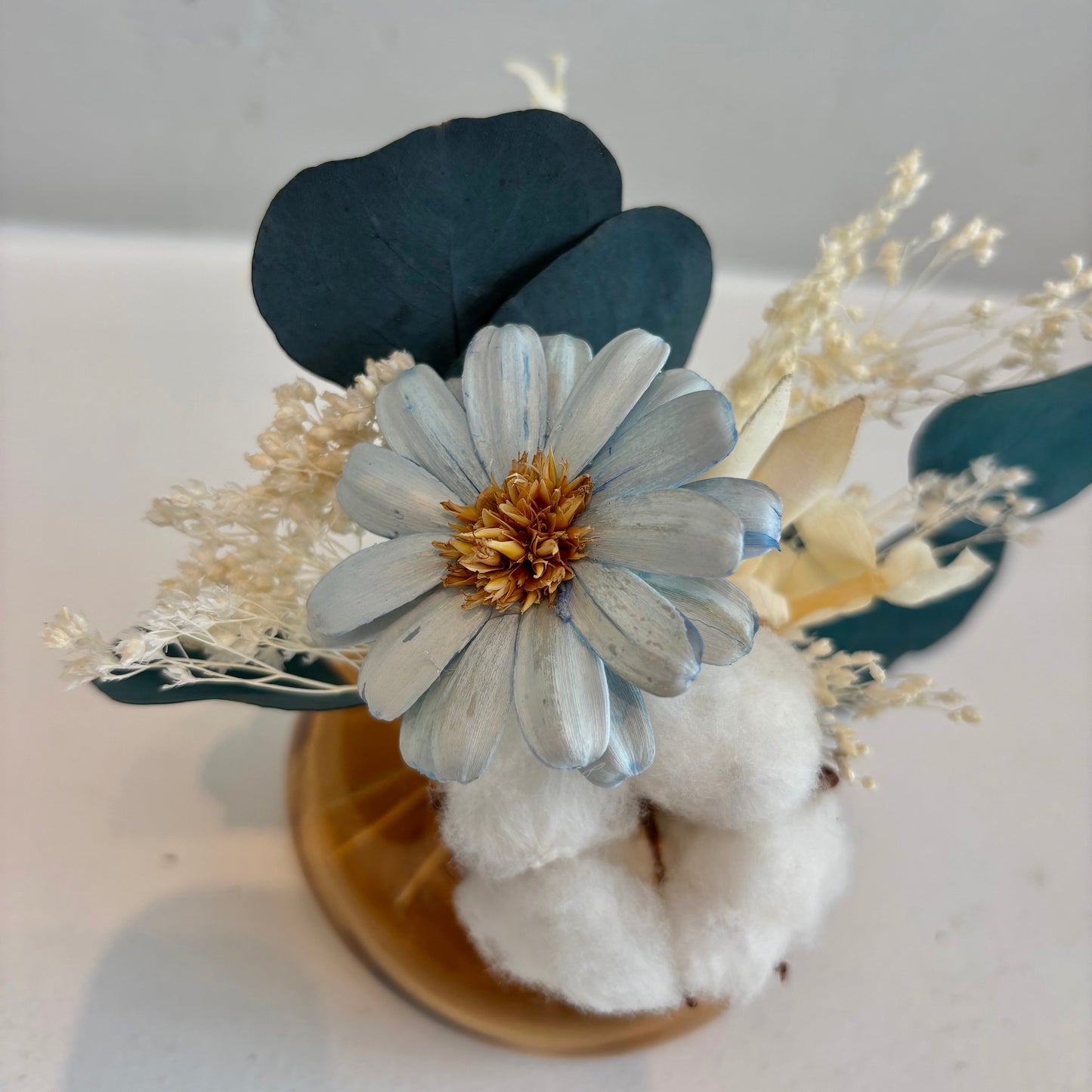 Mini Dried - Seaside