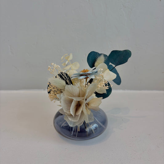 Mini Dried - Coastal Breeze