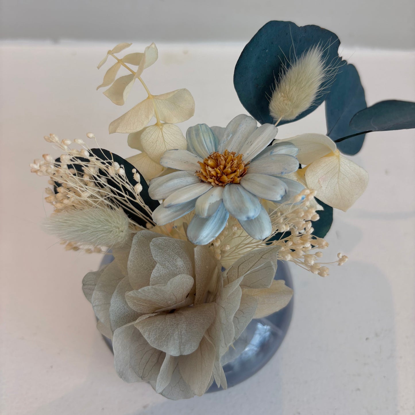 Mini Dried - Coastal Breeze