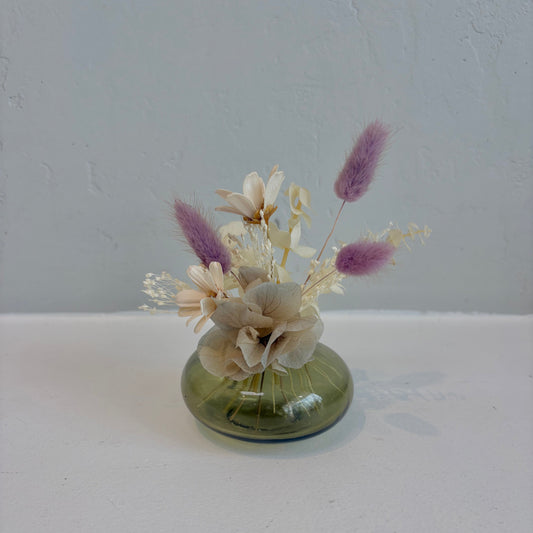 Mini Dried - Fairy Garden