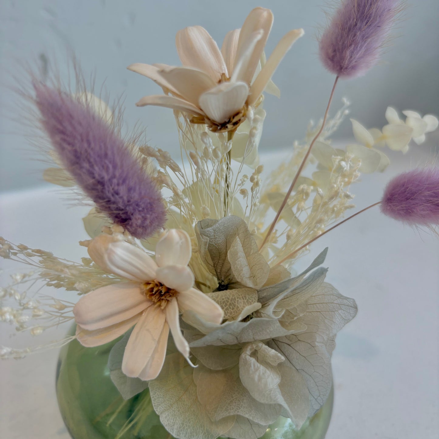 Mini Dried - Fairy Garden