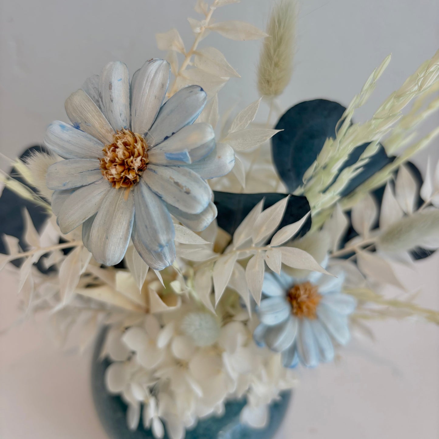 Mini Dried - Baby Blue