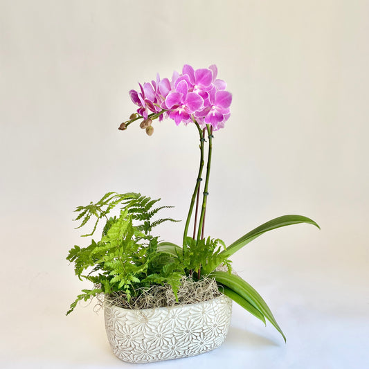 Mini Double Pink Orchid with Fern