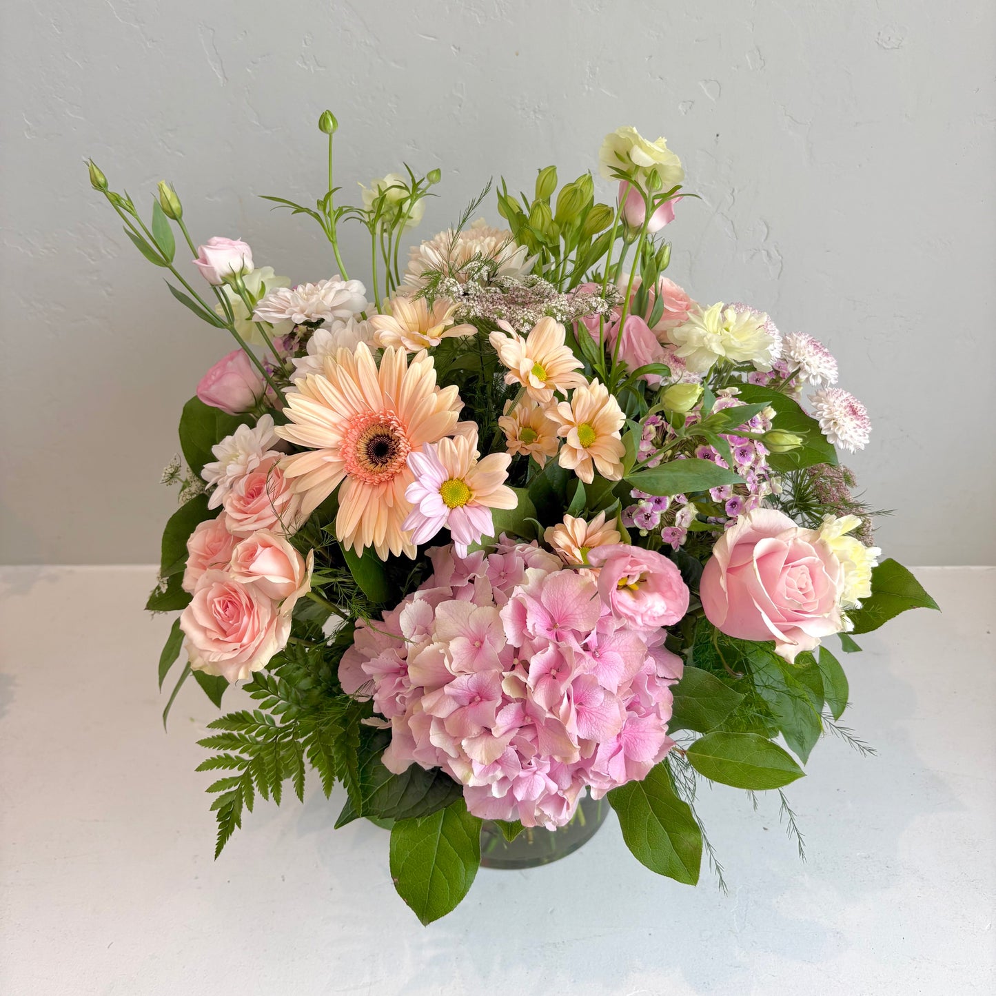 Grand Collection - Pastel Signature