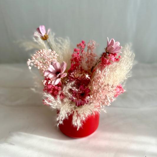 Mini Dried - Love Story