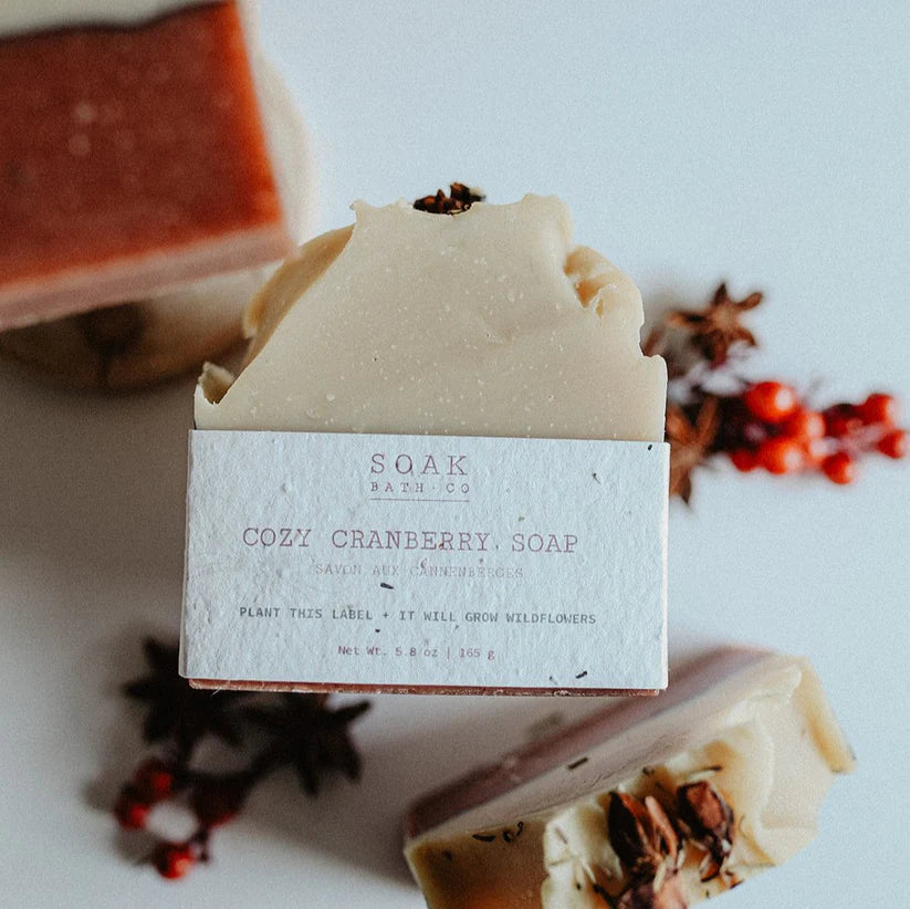 SOAK Holiday Soap Bars