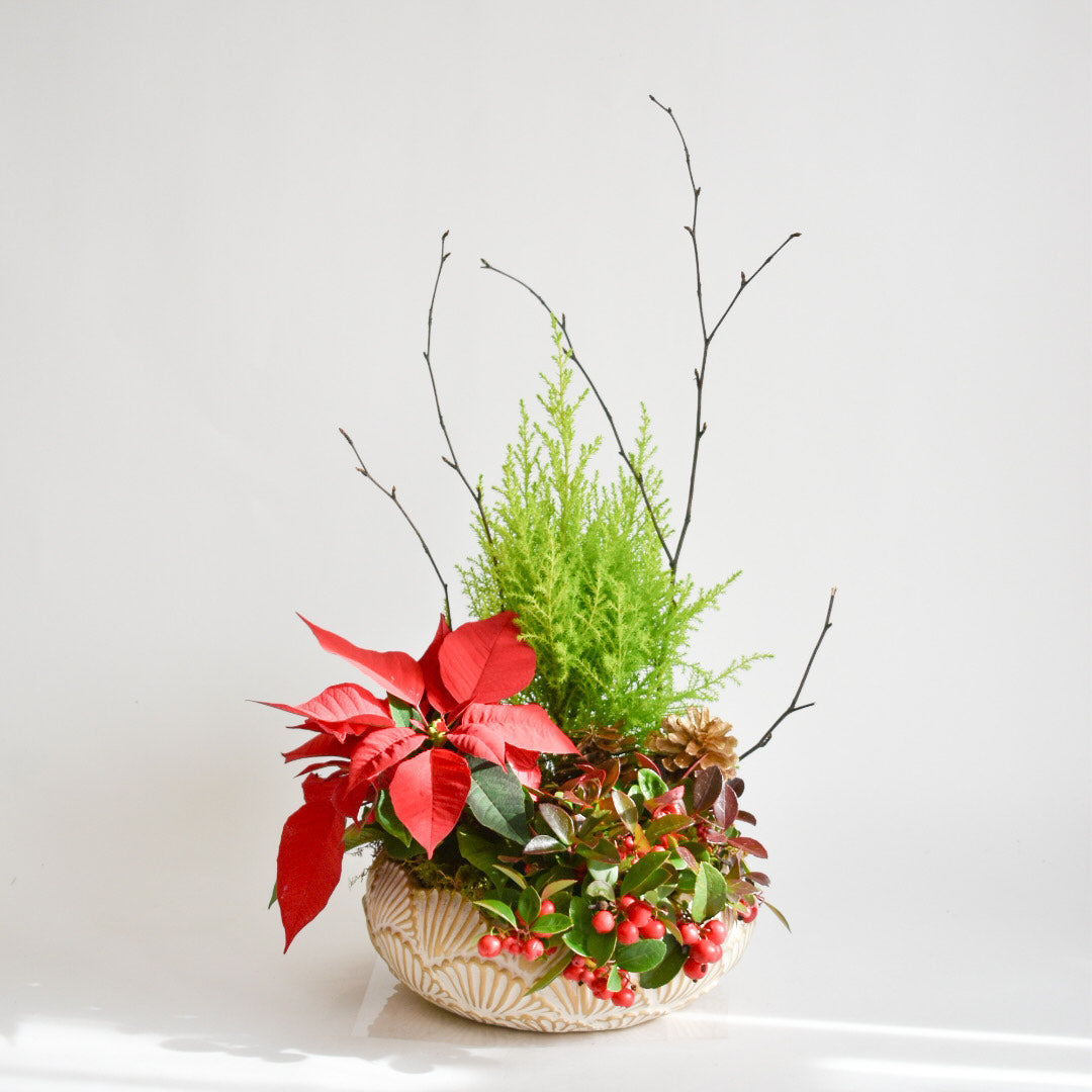 Festive Planter