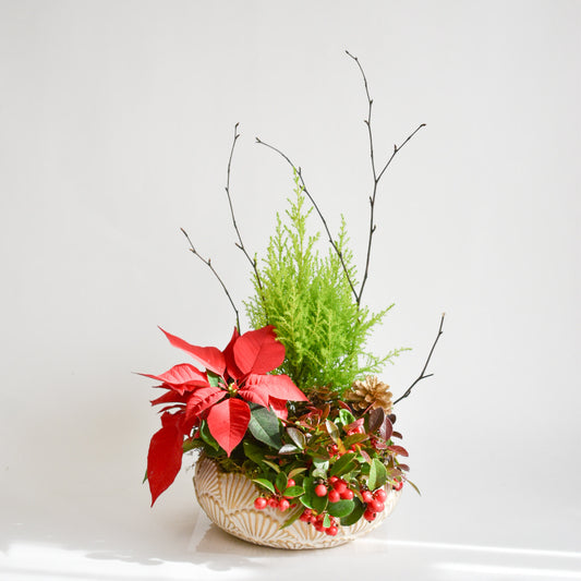 Festive Planter