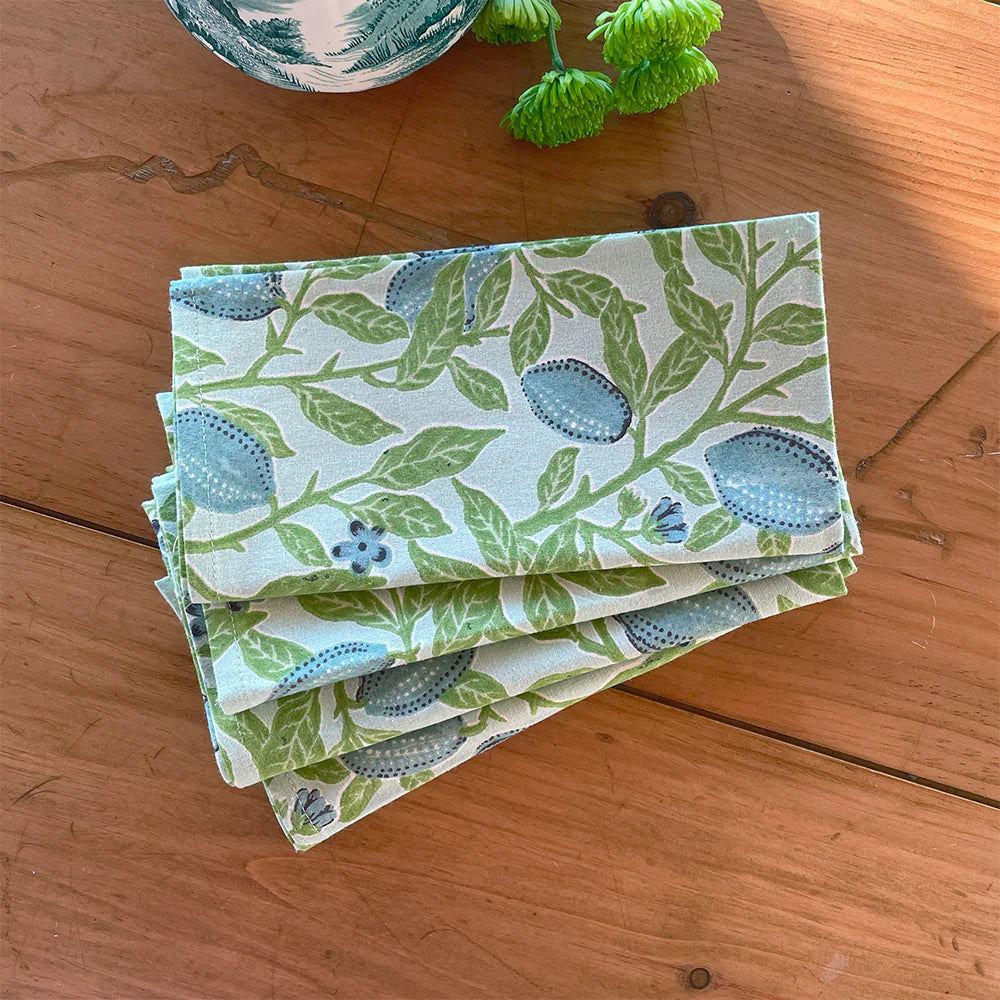 Printed Cotton Woven Napkins Set/4