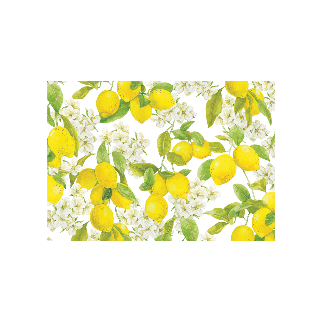 Boxed Blank Note Cards